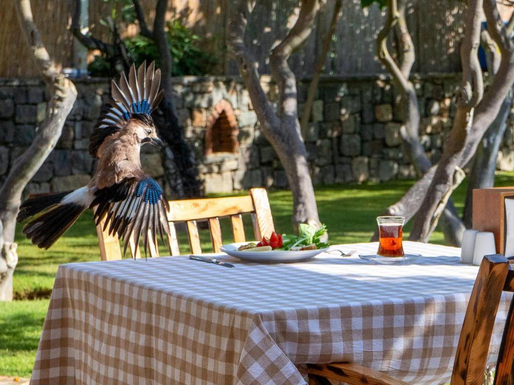 Hotel Gümüşlük Ngoại thất bức ảnh